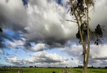 天涯论坛地震惊魂记：求生故事全揭秘