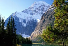 天涯论坛十大神贴盘点