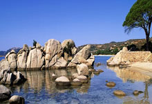 天涯论坛娱乐八卦景甜新鲜事。